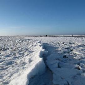 tango fuego Tangoreisen | Tango auf der Winterinsel. Schnee am Strand.