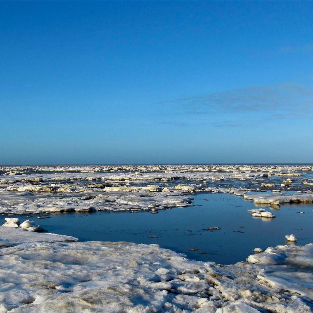 tango fuego Tangoreisen | Tango auf der Winterinsel